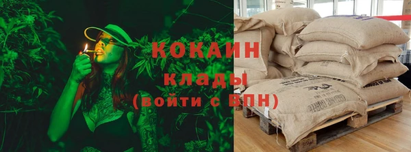 COCAINE Каменка