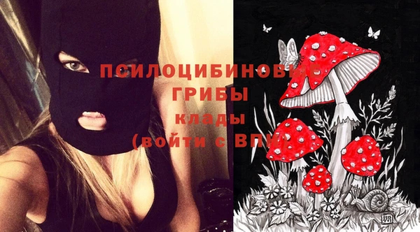герыч Каменск-Шахтинский