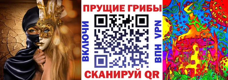 Купить  Купино  Галлюциногенные грибы ЛСД 